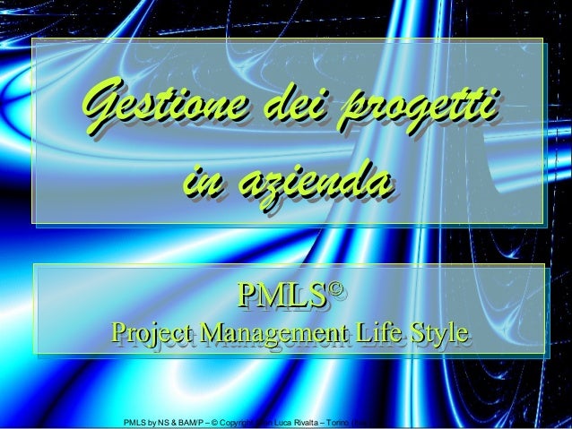Project Based Enterprise: Pensare e agire per progetti (Italian Edition)